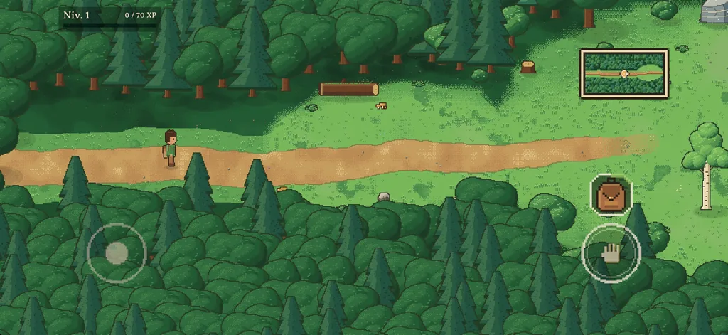 The Forest Edge: a dirt path between the trees.